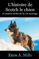 Couverture de L'histoire de Scotch le chien et autres récits de la vie sauvage Cover