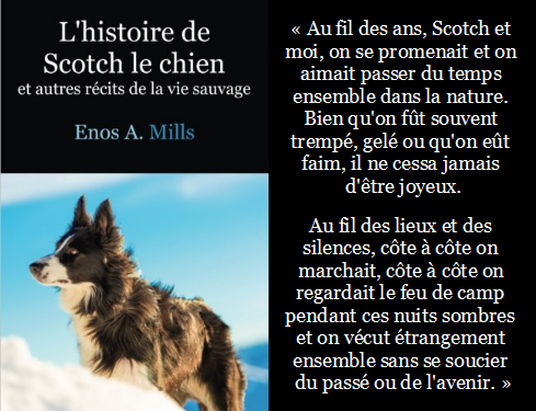 citation