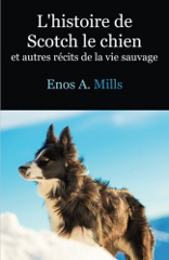 Couverture de L'histoire de Scotch le chien et autres récits de la vie sauvage